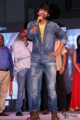 Seethamma Andaalu Raamayya Sithraalu Platinum Disc Function